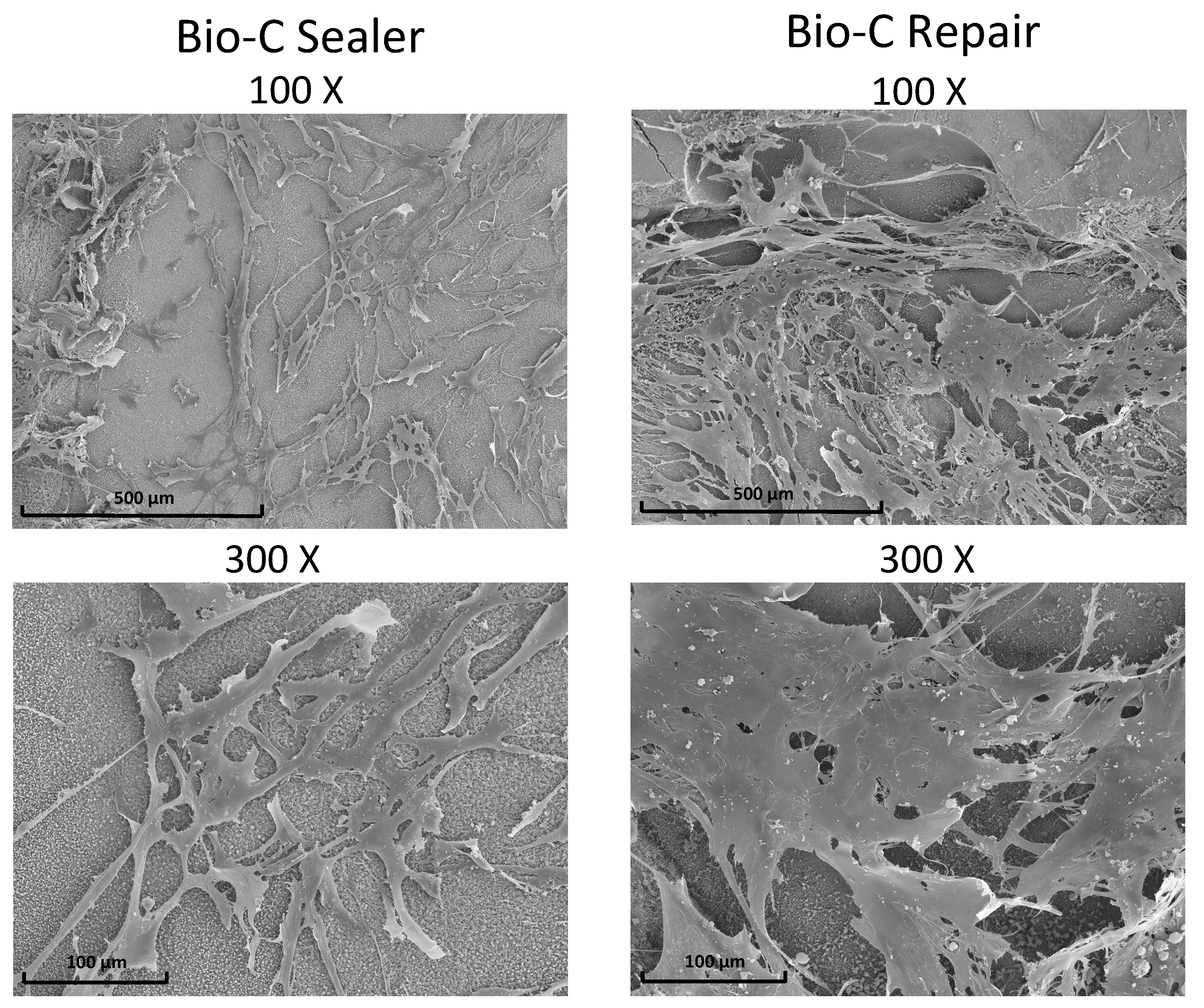 Jcm 08 01216 g005 Jcm 08 01216 g005
