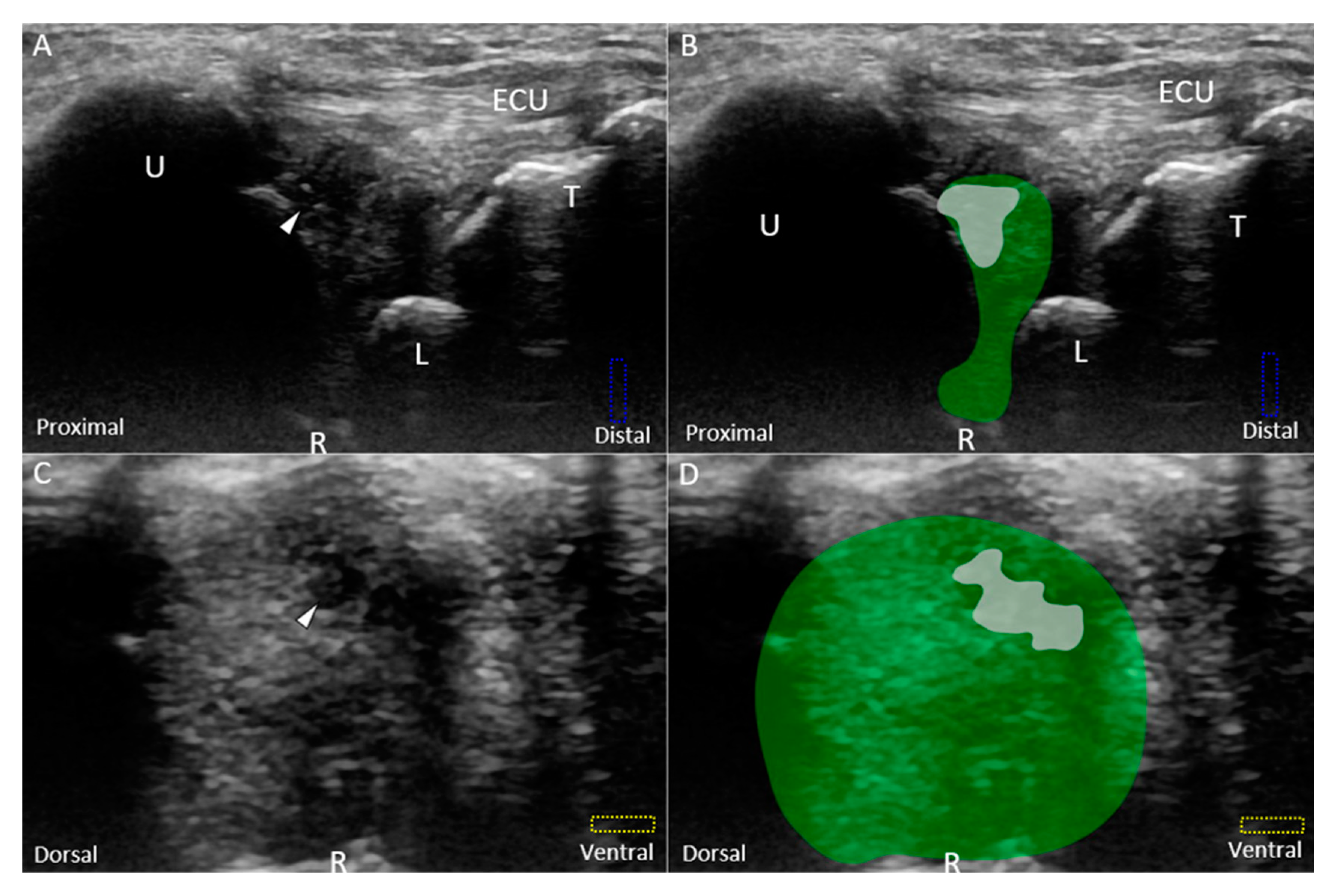 Jcm 08 01540 g009 Jcm 08 01540 g009