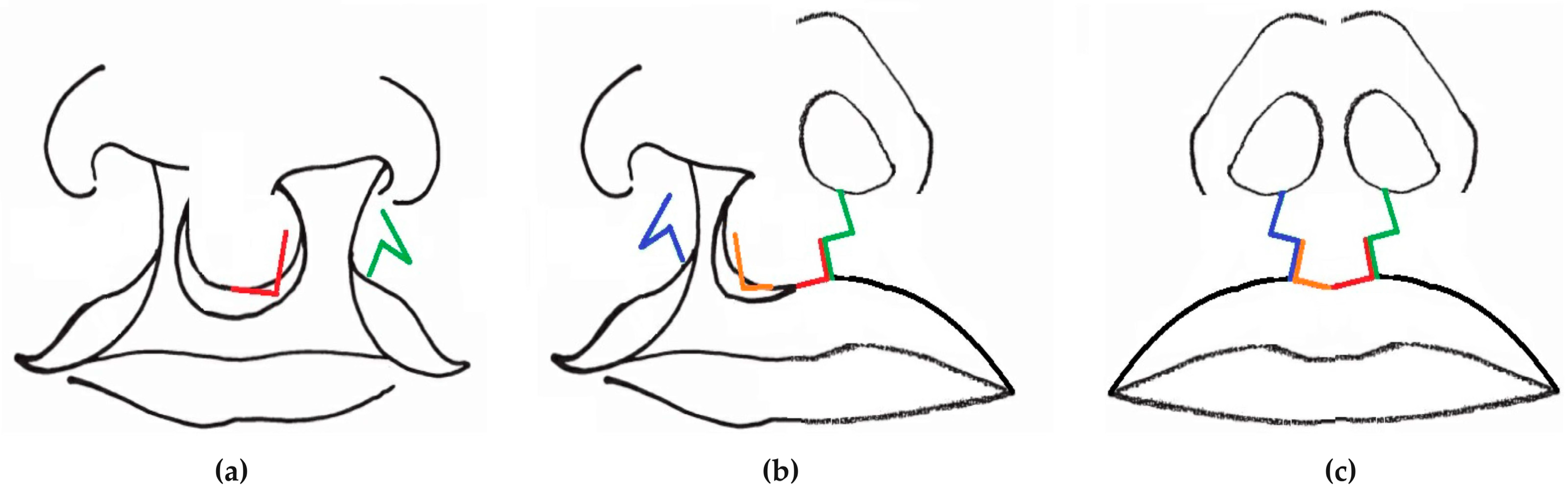 Jcm 13 01939 g005 Jcm 13 01939 g005