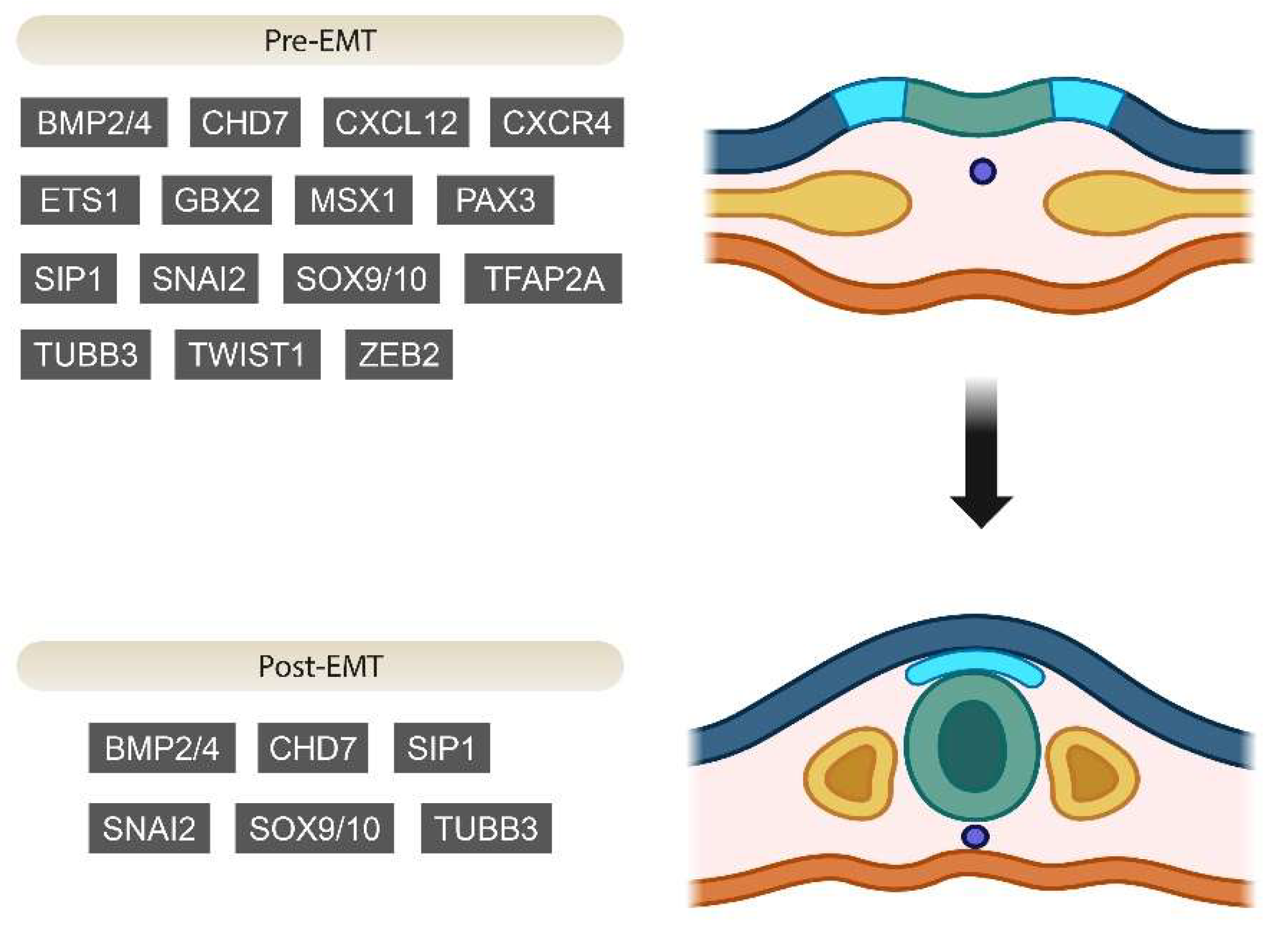 Jcm 13 02223 g001 Jcm 13 02223 g001
