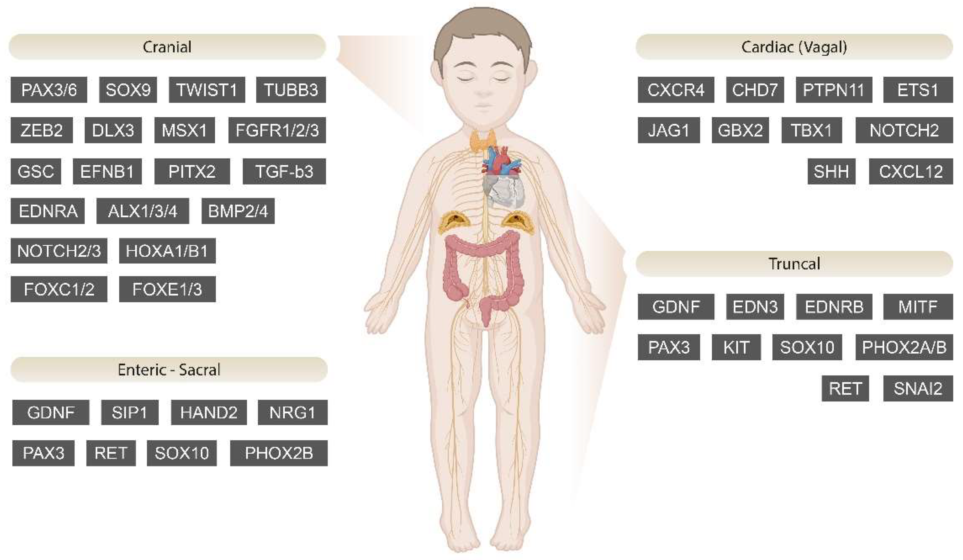 Jcm 13 02223 g002 Jcm 13 02223 g002