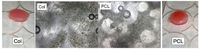 Jfb 02 00039f8 200