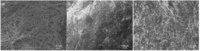 Jfb 03 00480 g008 200