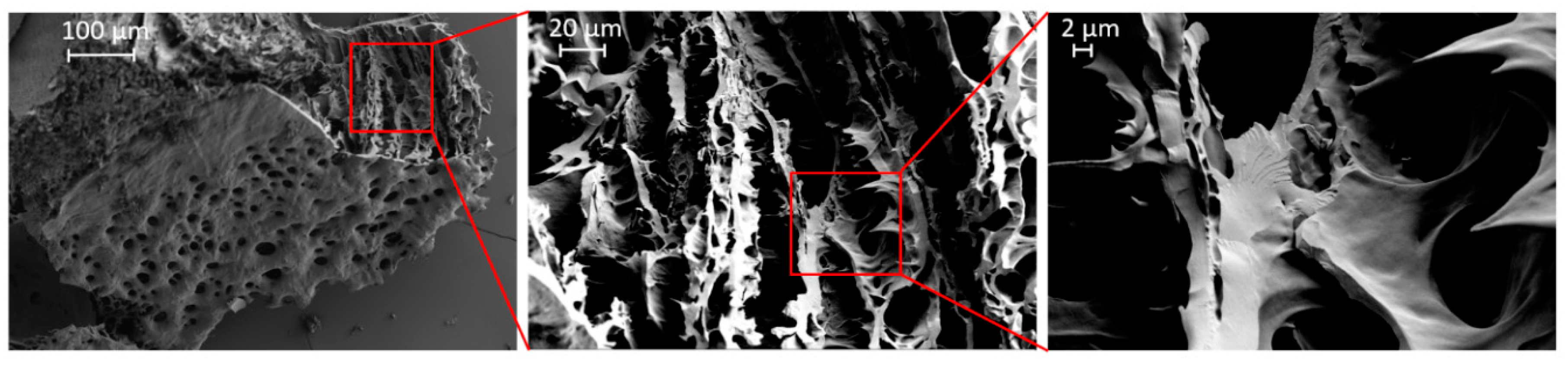 Jfb 10 00036 g002 Jfb 10 00036 g002