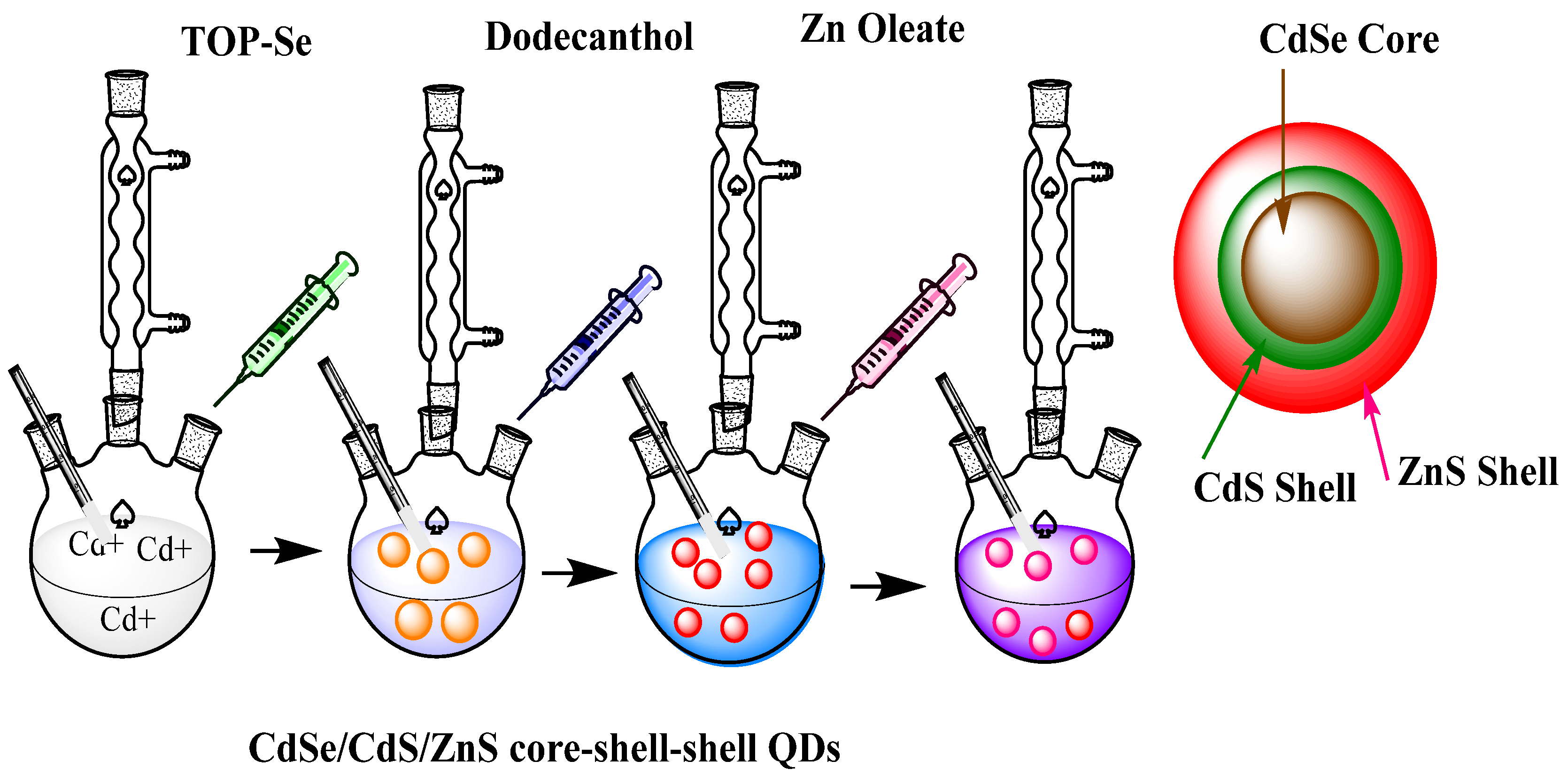 Jfb 12 00075 g002 Jfb 12 00075 g002