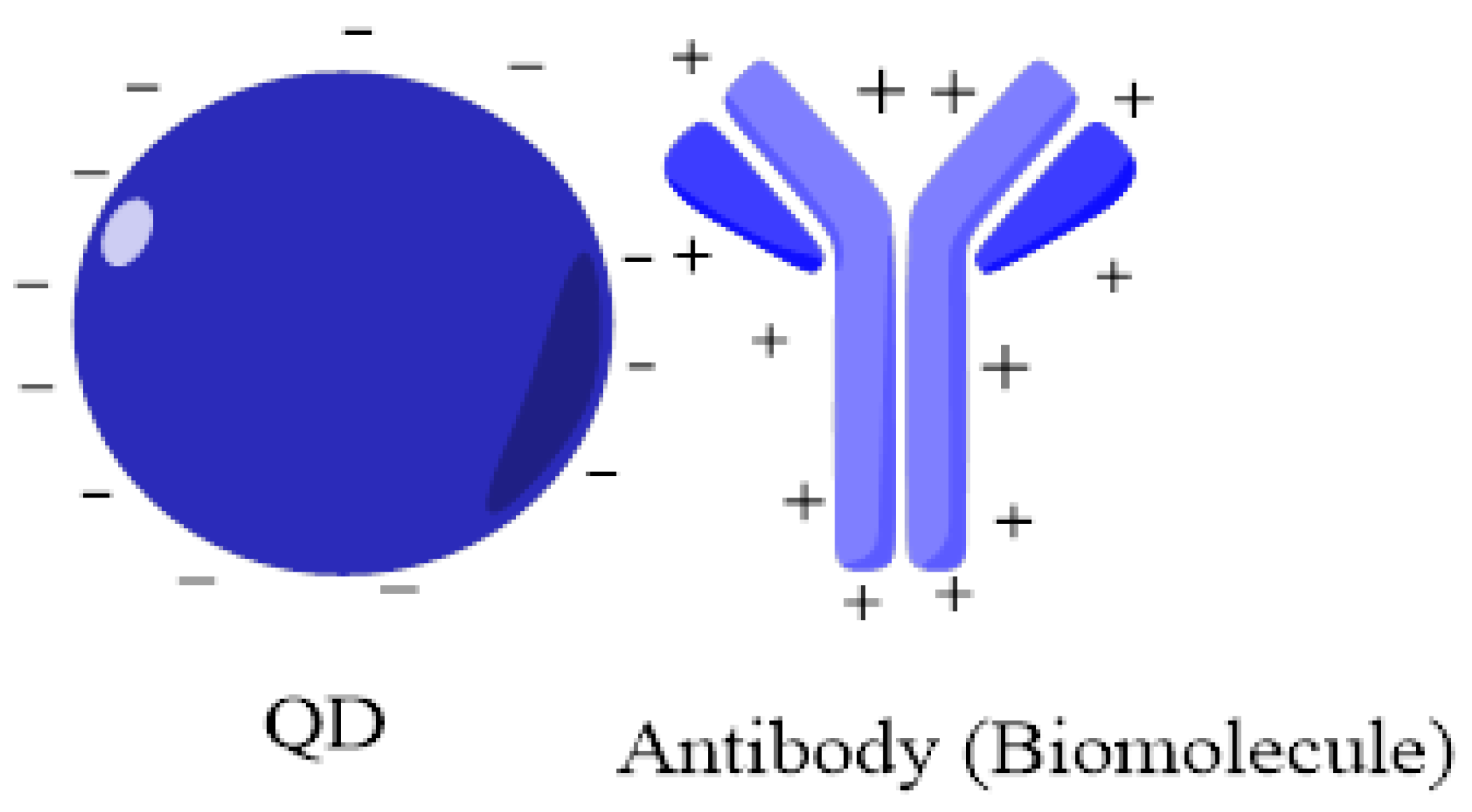 Jfb 12 00075 g005 Jfb 12 00075 g005