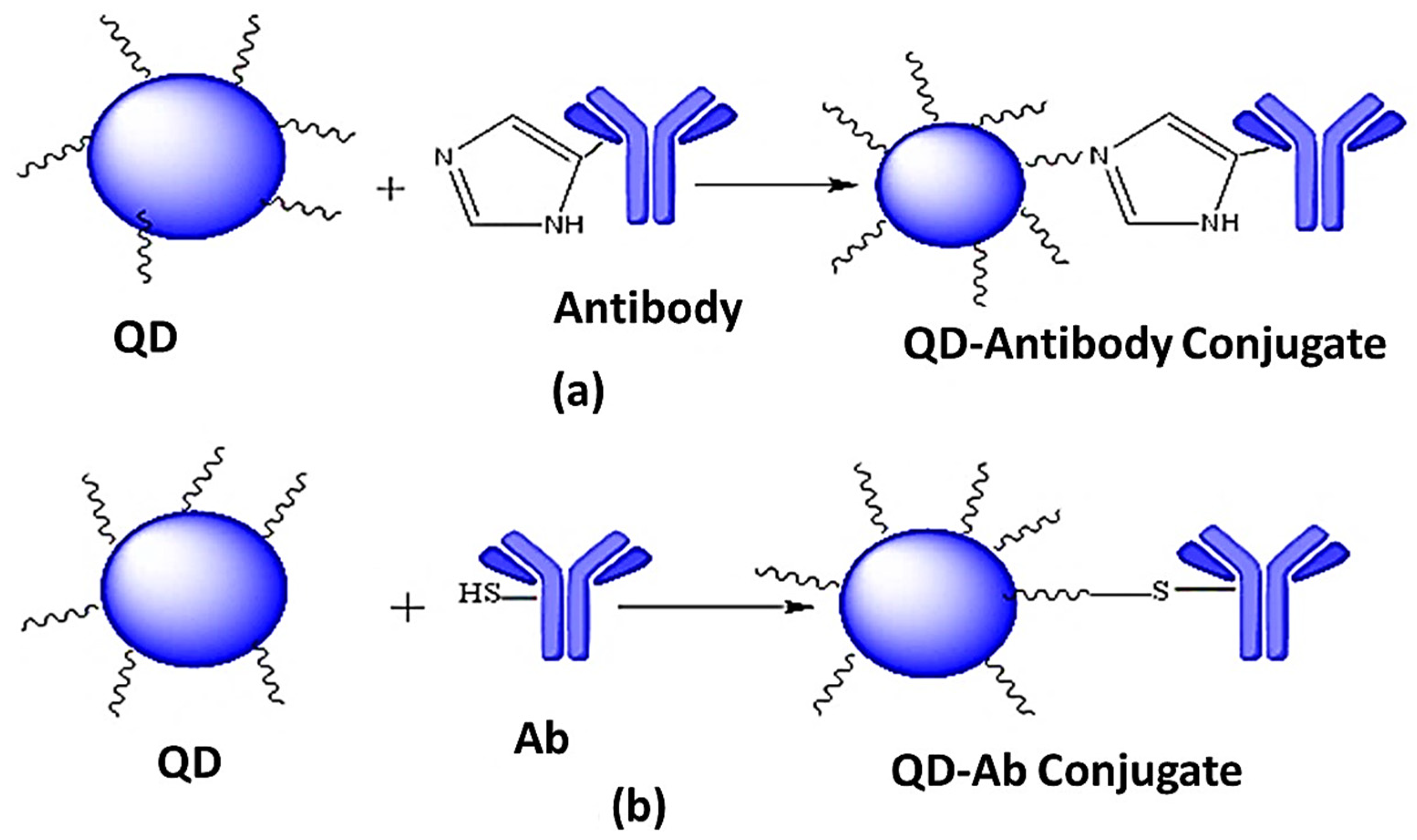 Jfb 12 00075 g006 Jfb 12 00075 g006