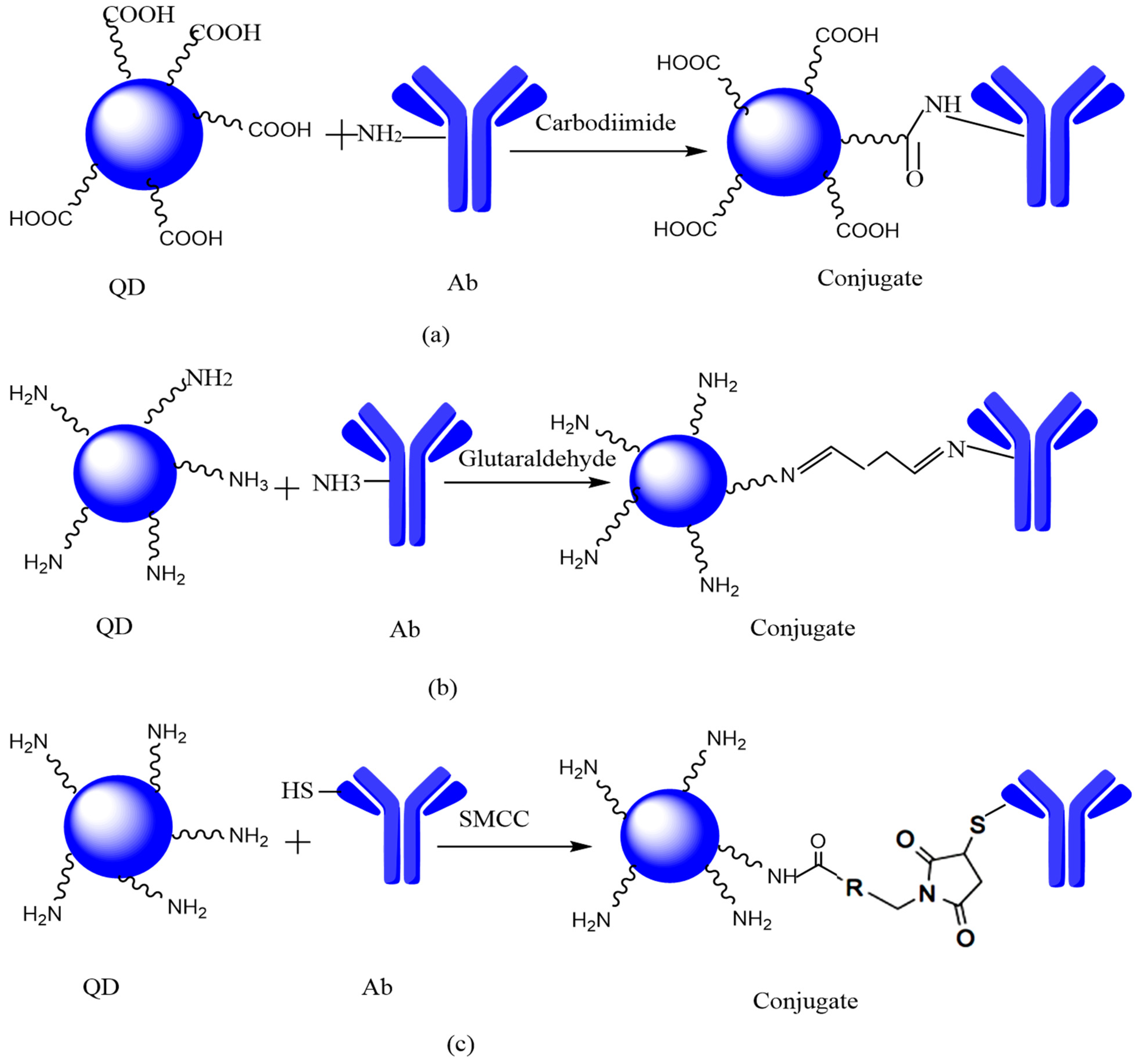 Jfb 12 00075 g008 Jfb 12 00075 g008