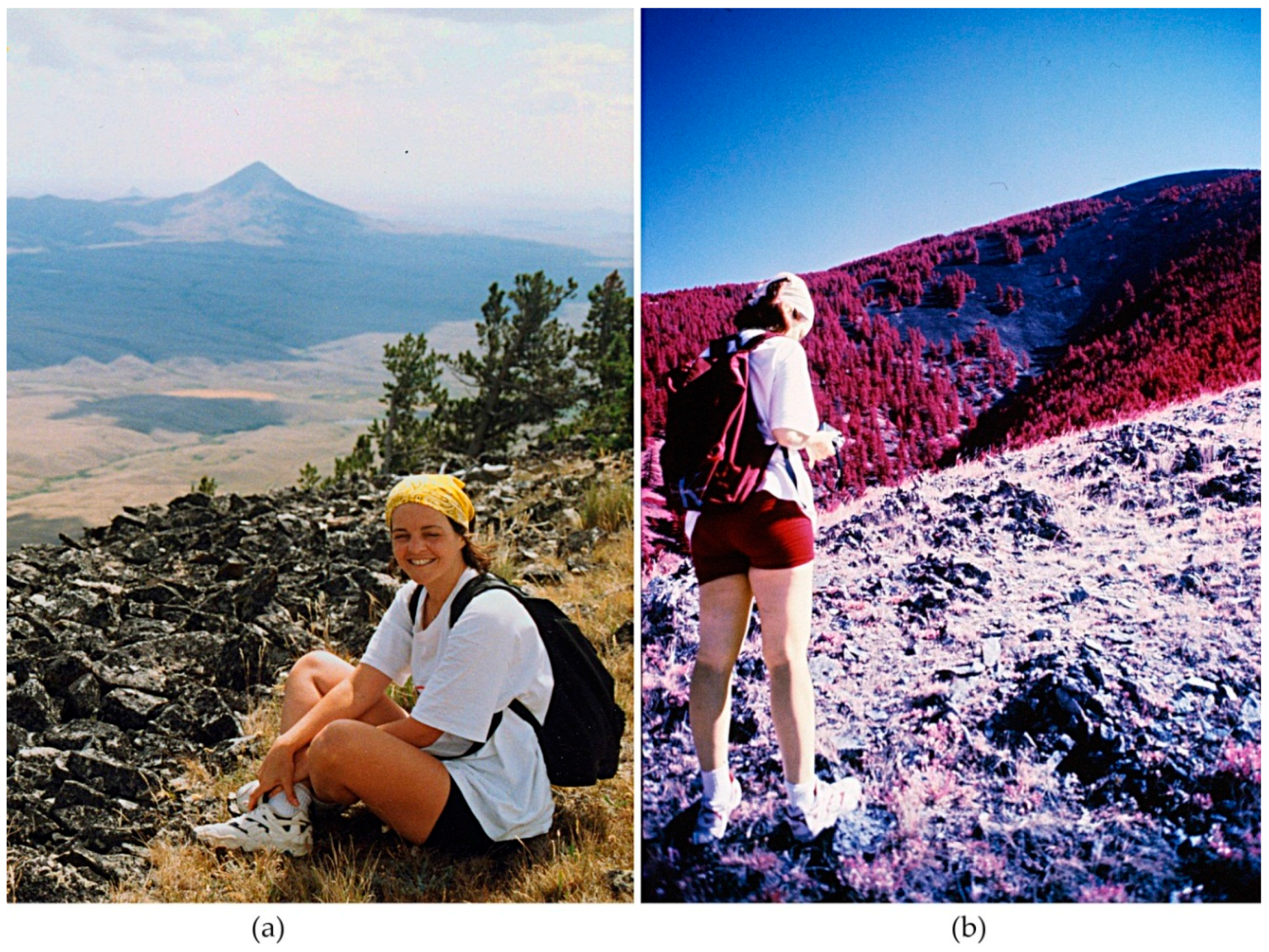 Jimaging 02 00014 g010a