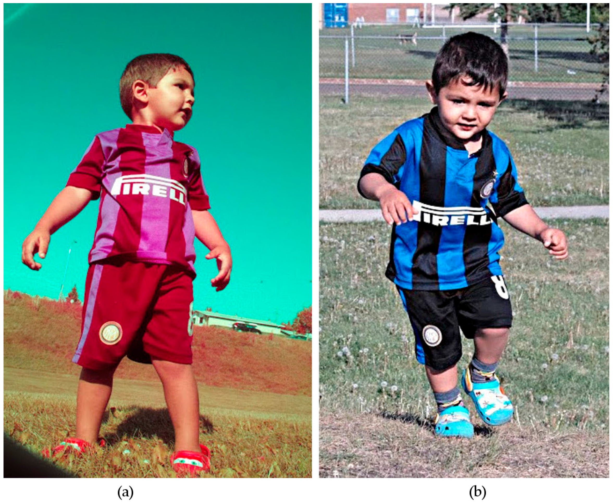 Jimaging 02 00014 g012