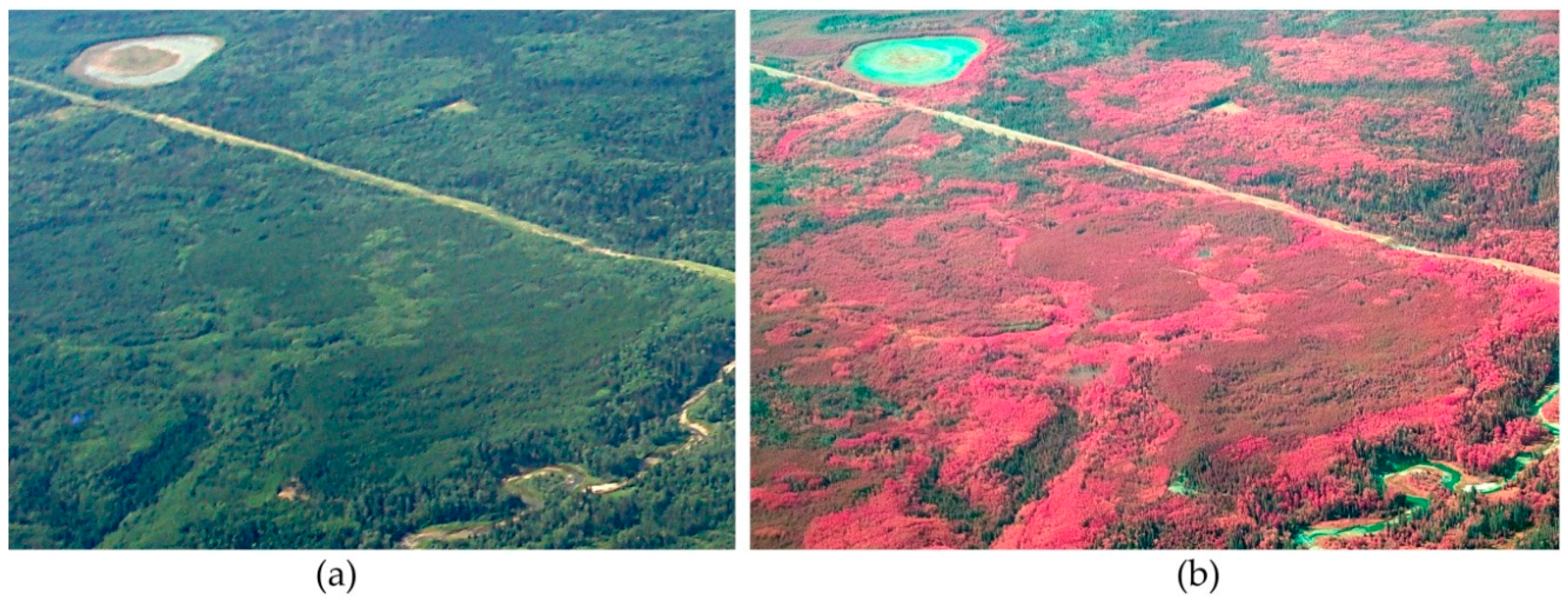 Jimaging 02 00014 g015