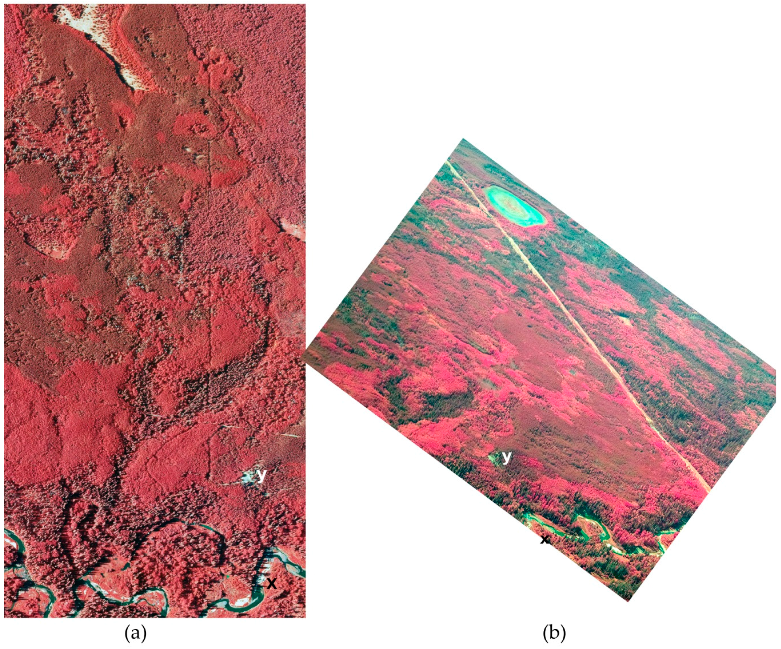 Jimaging 02 00014 g016