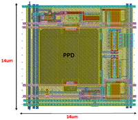 Jlpea 03 00027 g006 200