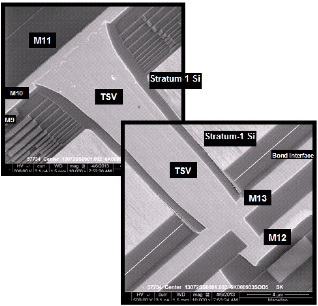 Jlpea 04 00077 g003 1024
