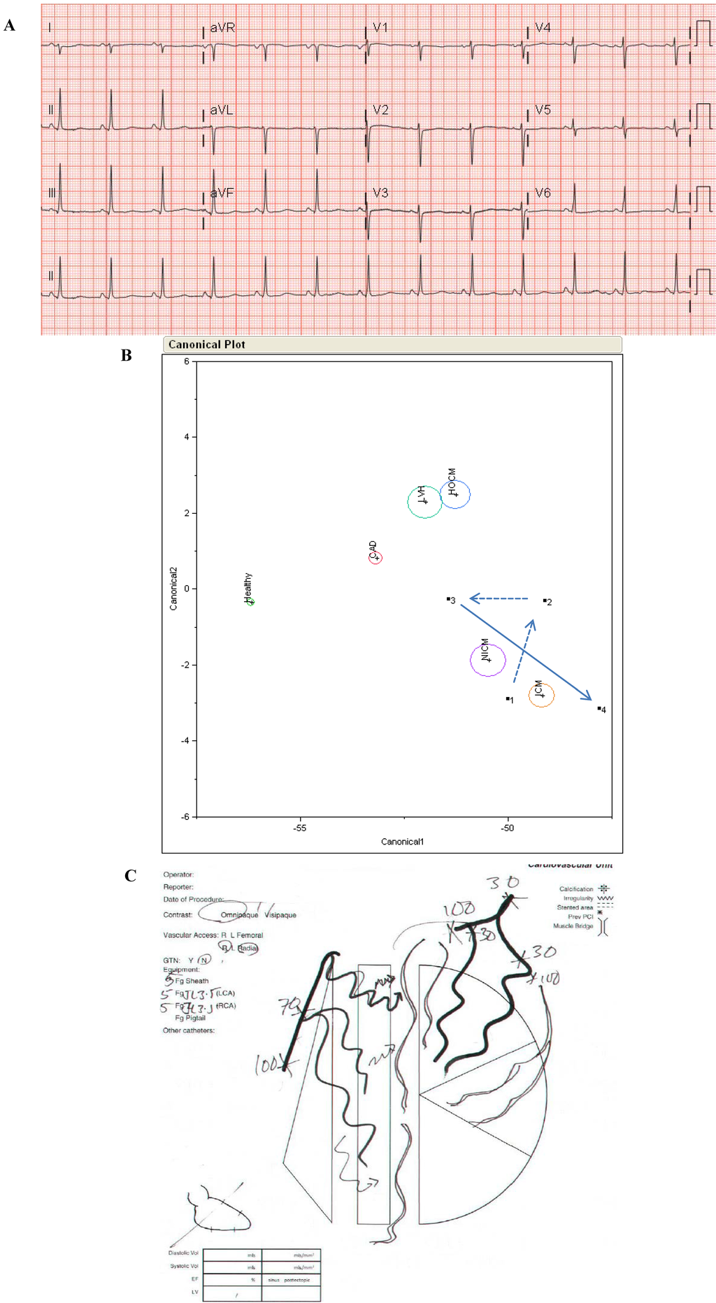 Jpm 03 00203 g011 1024