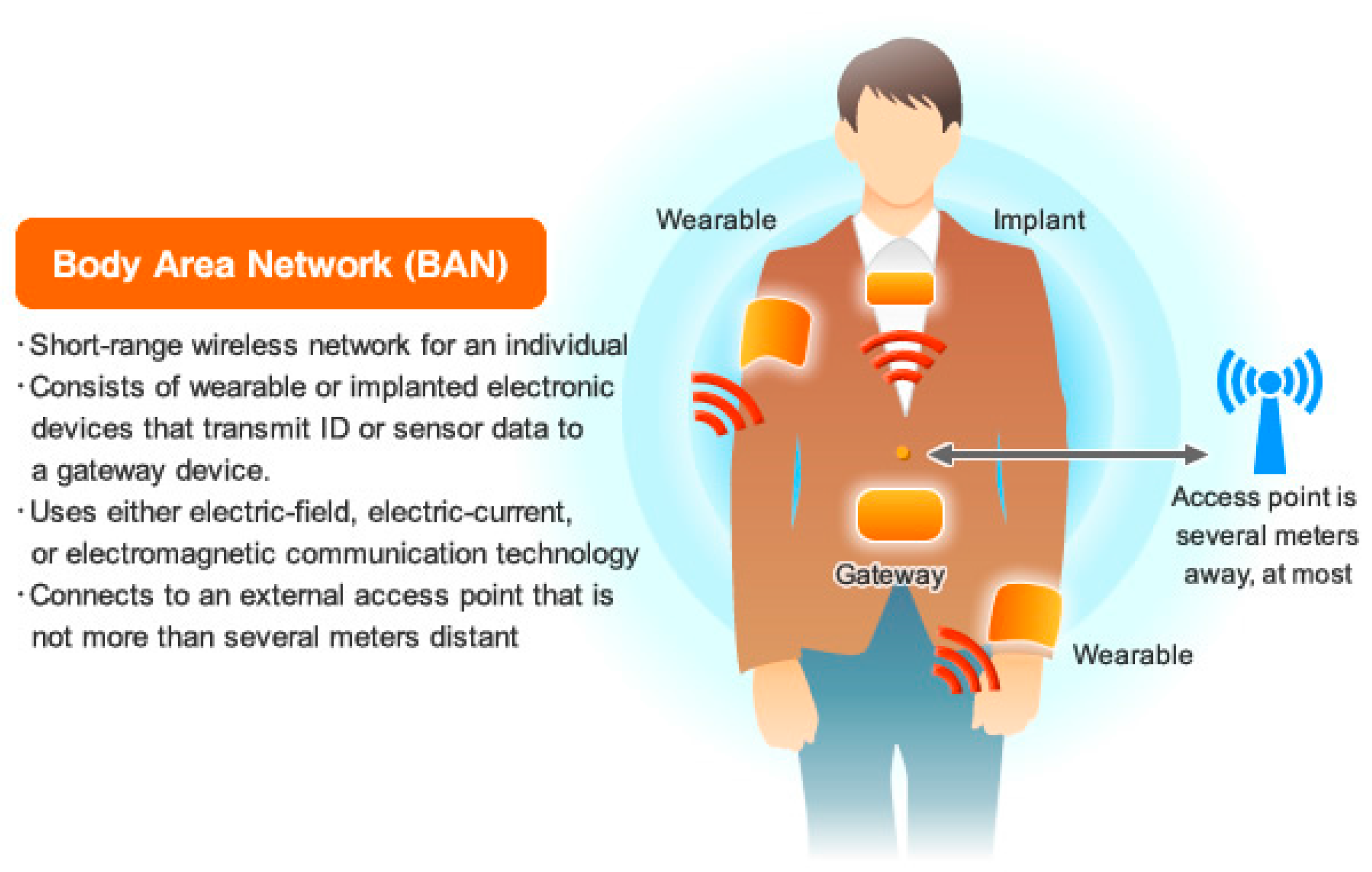 latest research paper on networking What are the new research areas in wireless sensor networks i want to know about new emerging research areas good survey/review paper on parallel and. latest research paper on networking What are the new research areas in wireless sensor networks i want to know about new emerging research areas good survey/review paper on parallel and.