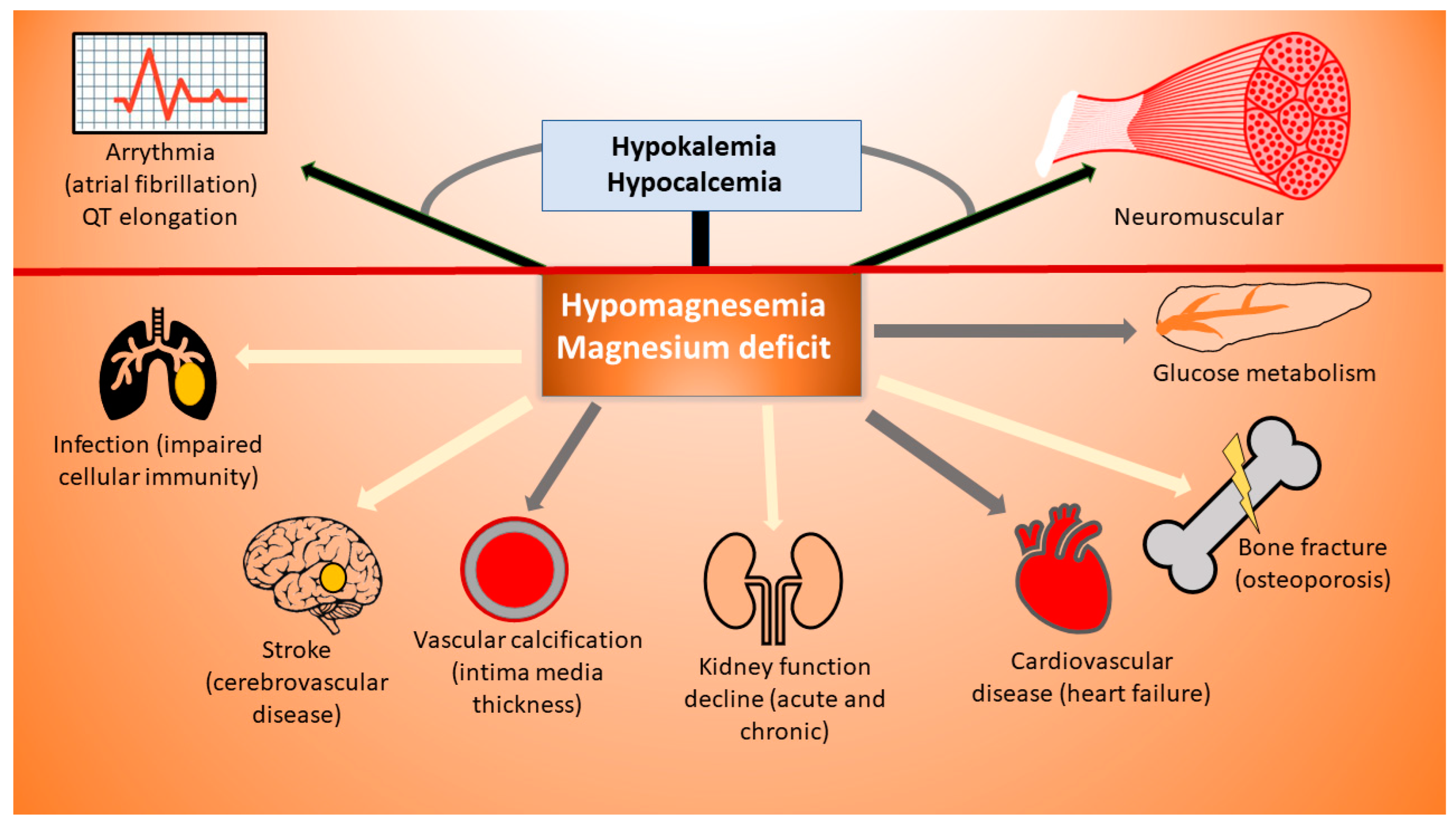 Kidneydial 04 00001 g001