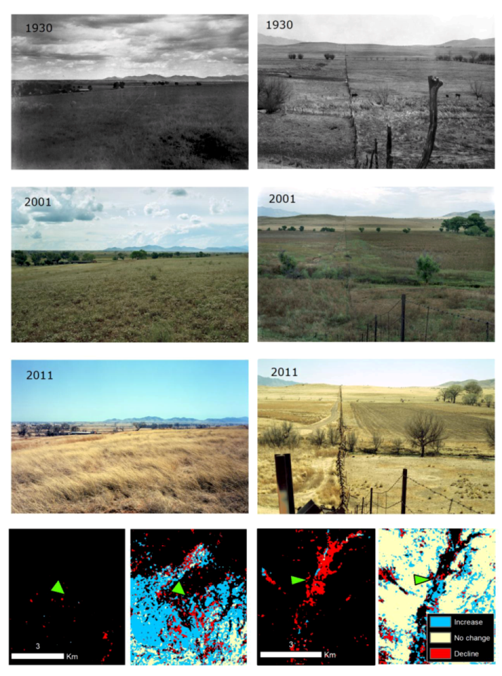 Land 02 00194 g011 1024
