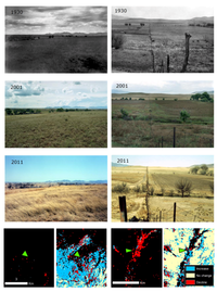 Land 02 00194 g011 200