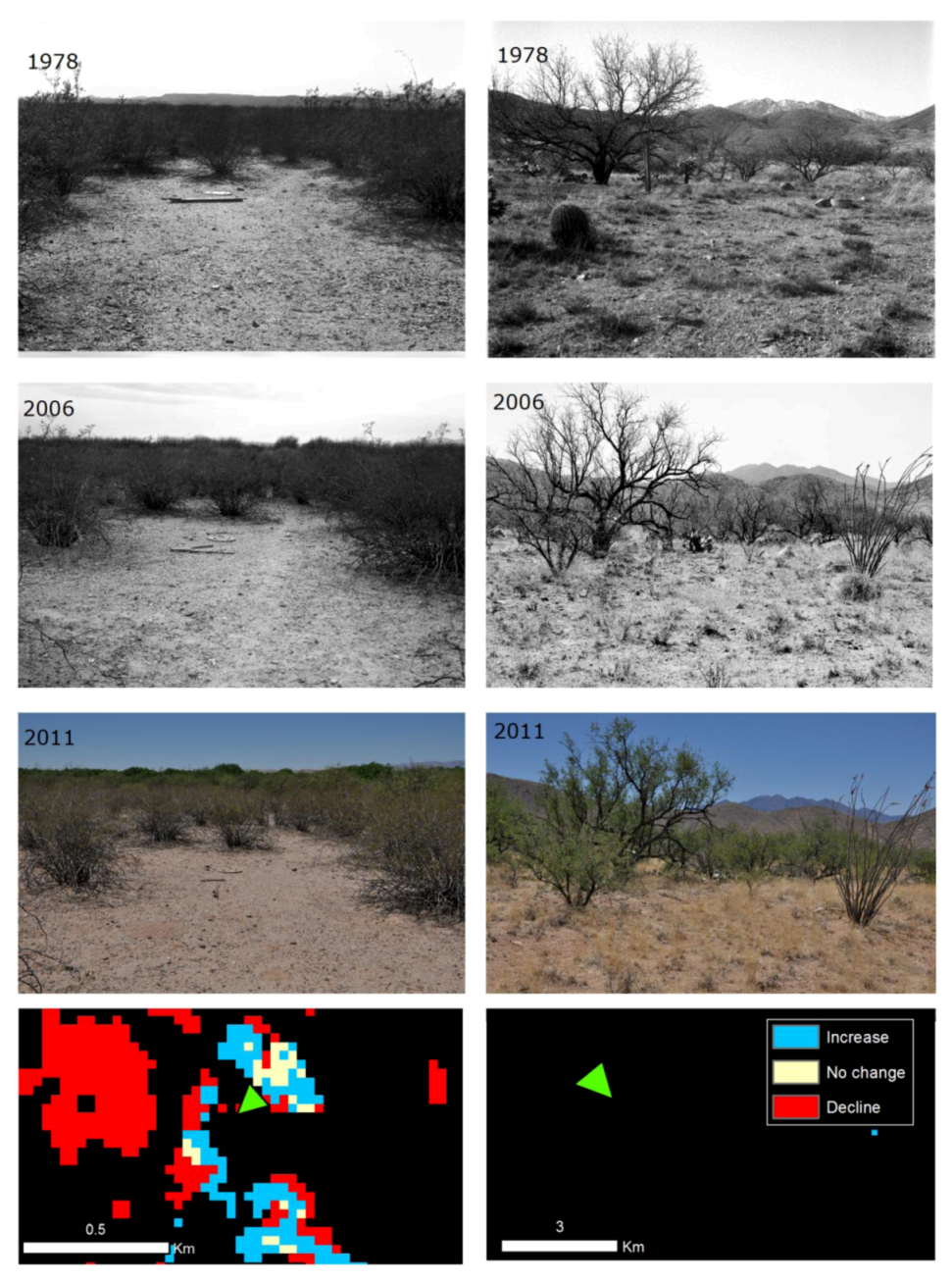 Land 02 00194 g012 1024
