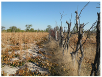 Land 02 00452 g002 200