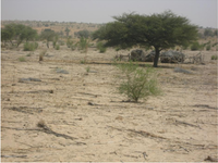 Land 02 00508 g003 200