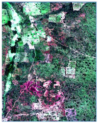 Land 02 00609 g012 200