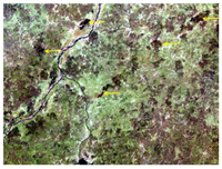 Land 02 00609 g014 200