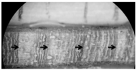 Land 02 00637 g003 200