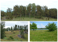 Land 03 00300 g001 200