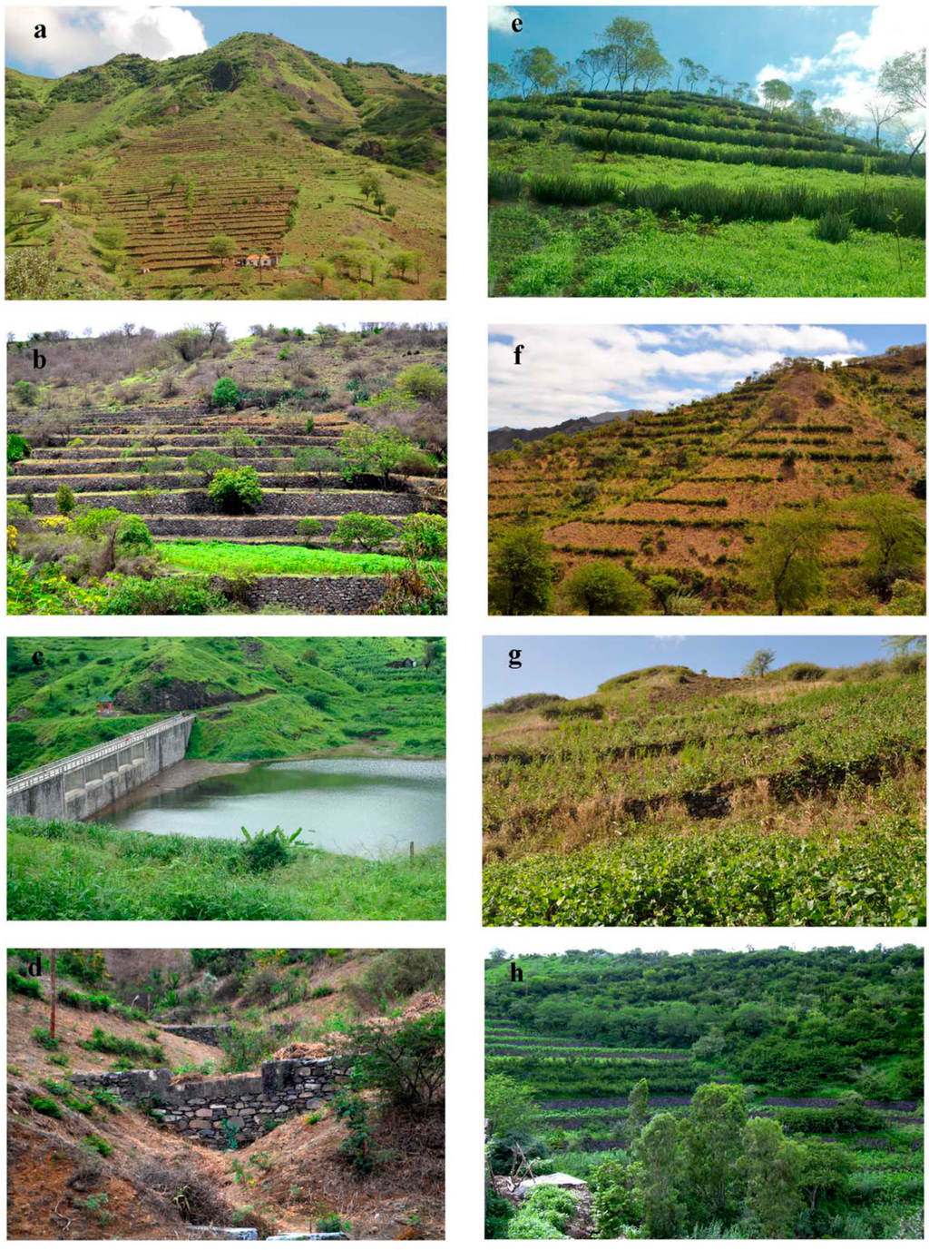 Soil and water conservation essay