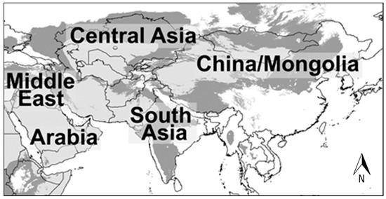 asian text