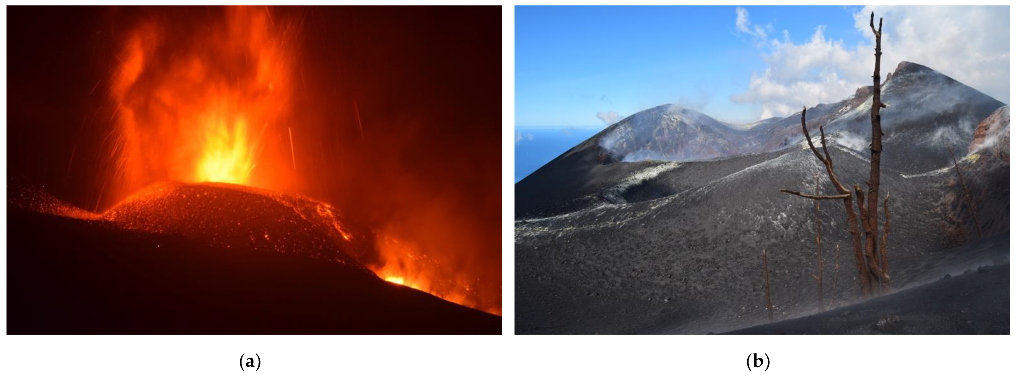 Land 11 00917 g001 Land 11 00917 g001