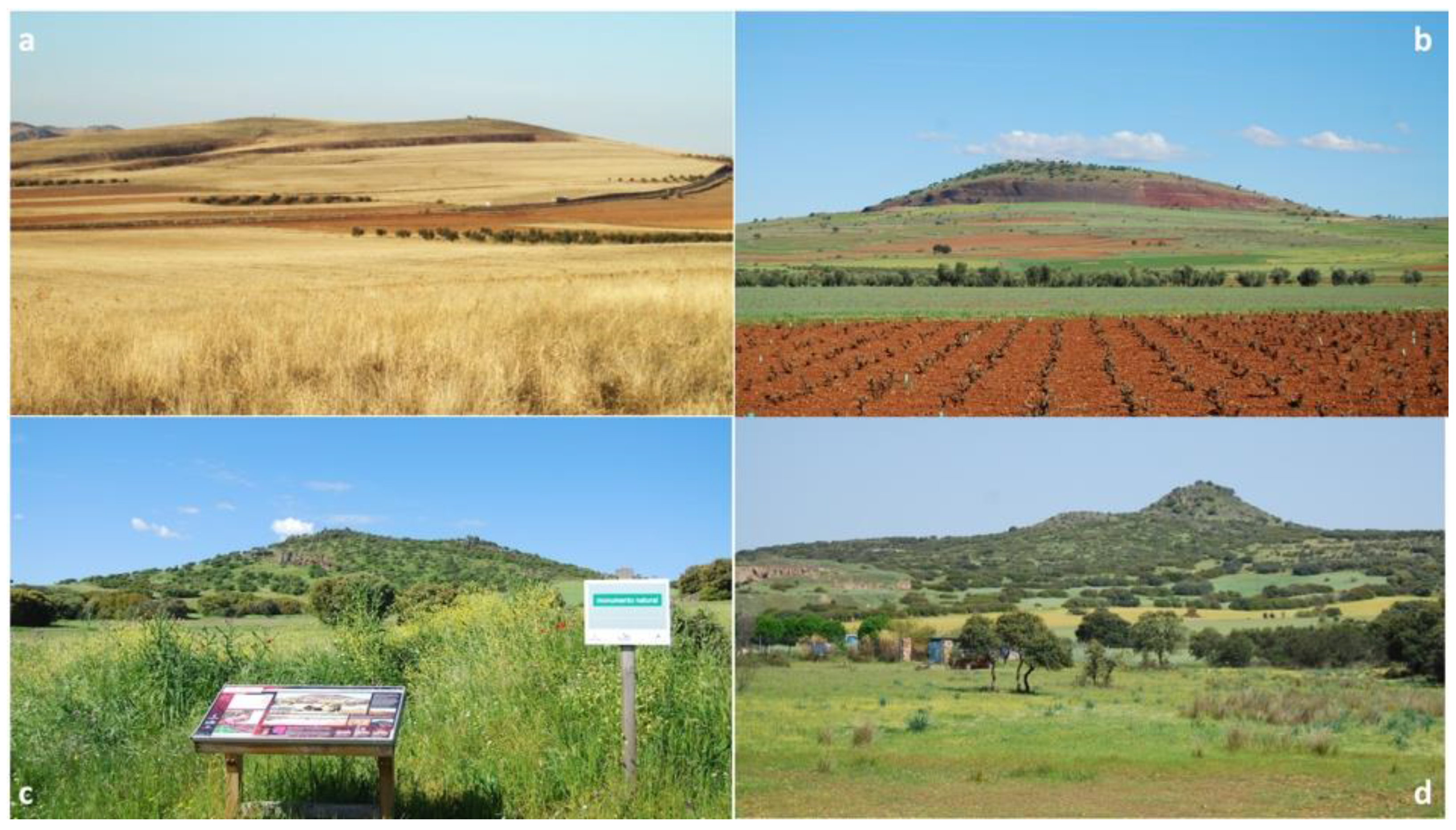 Land 11 00917 g009 Land 11 00917 g009