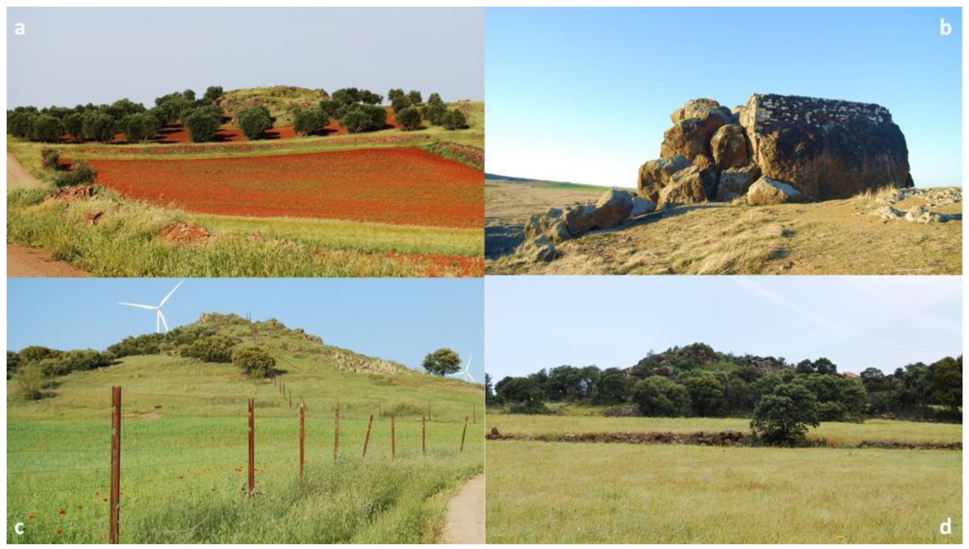 Land 11 00917 g010 Land 11 00917 g010