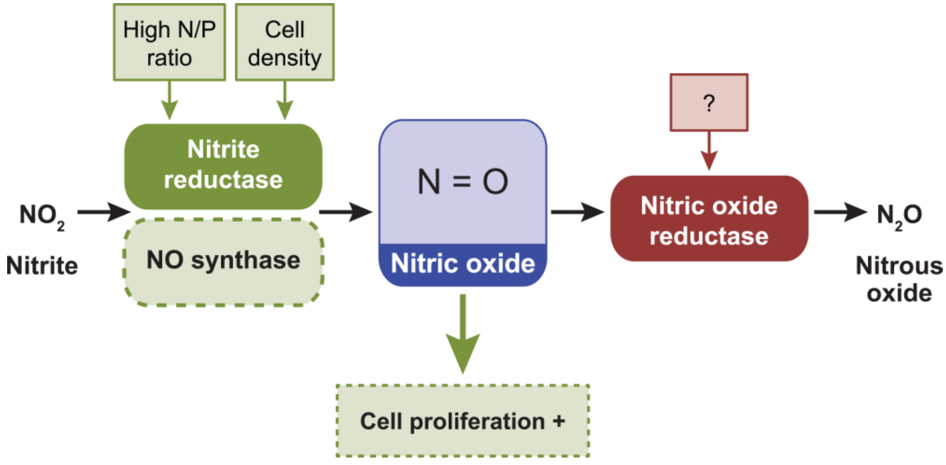 Life Free FullText Survival Strategies in the Aquatic and