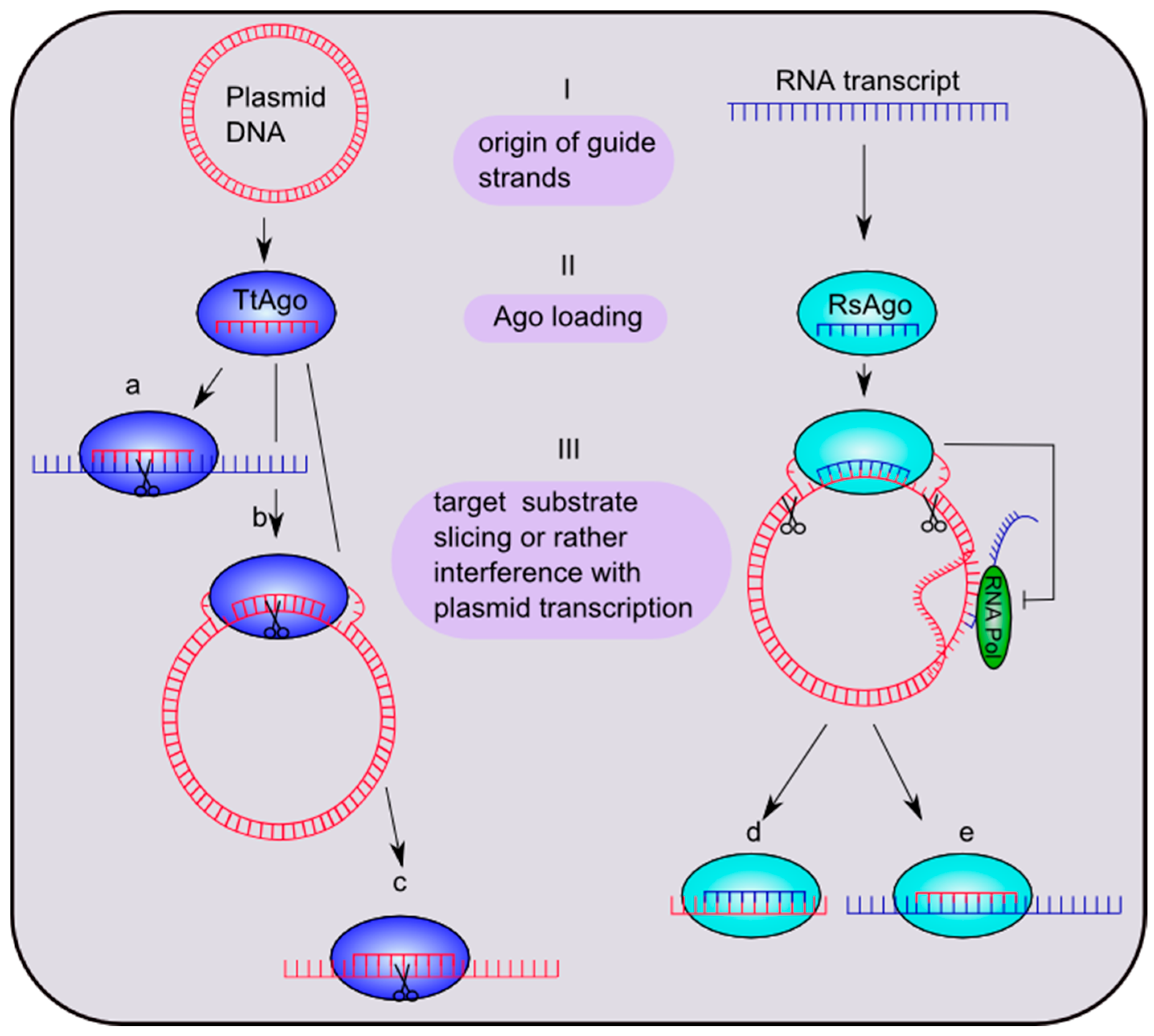 download gpi-anchored membrane proteins and carbohydrates (molecular