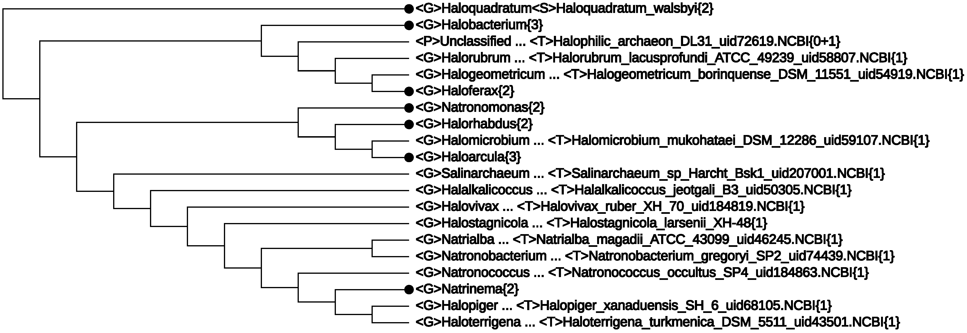 taxonomy archaea 16s rrna genome whole mdpi genus expanded halobacteria level class figure phylogeny sequence approach comparison analysis g004 based