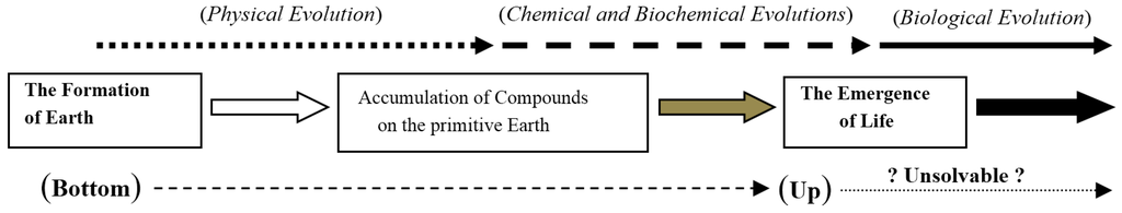 Essay on chemical evolution