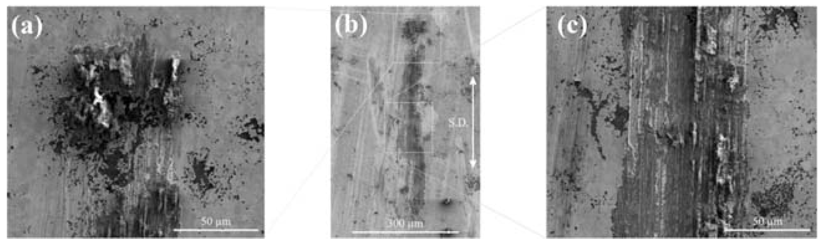 Lubricants 04 00011 g006