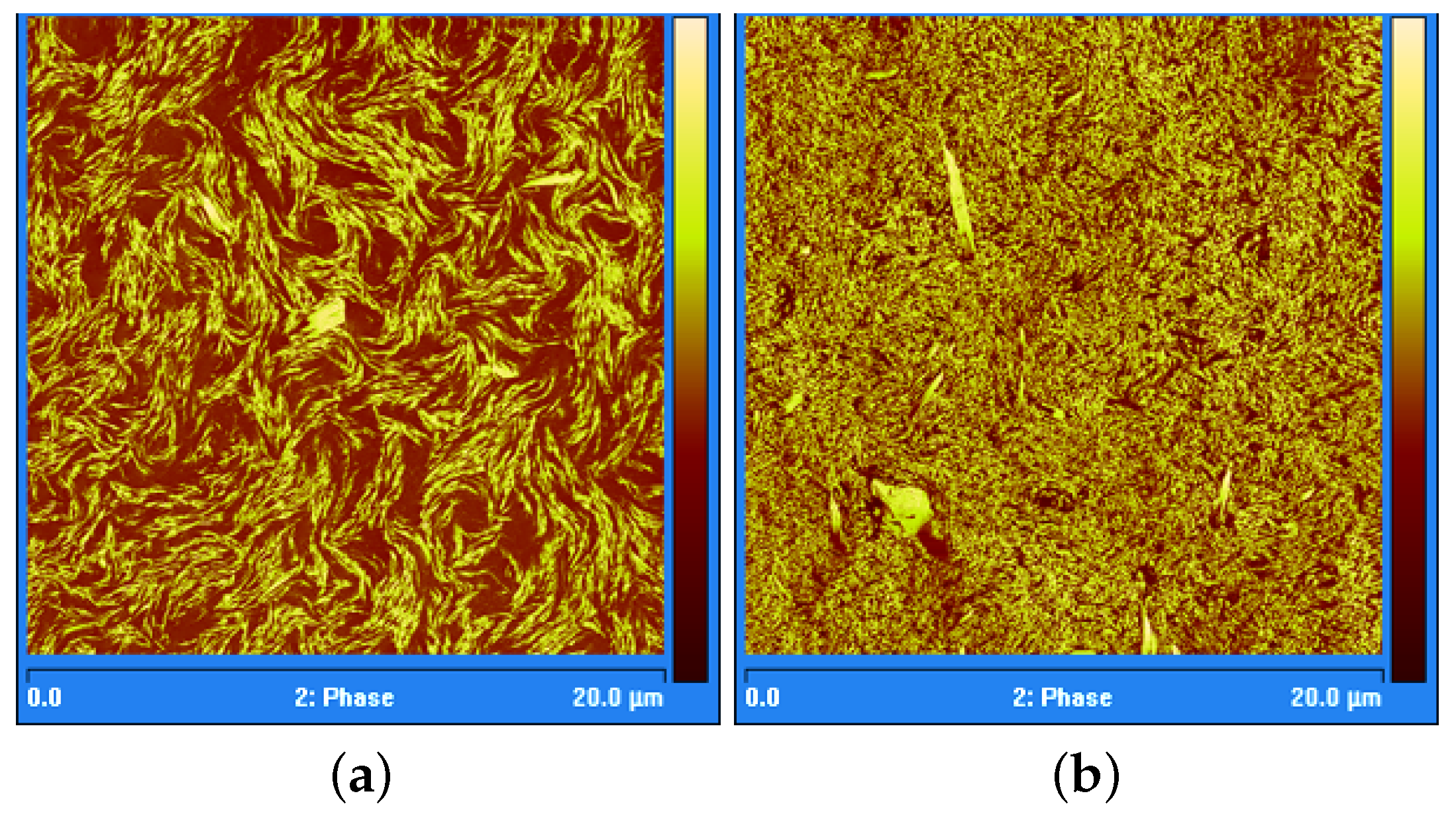 Lubricants Free FullText Tribological Stress of Lubricating