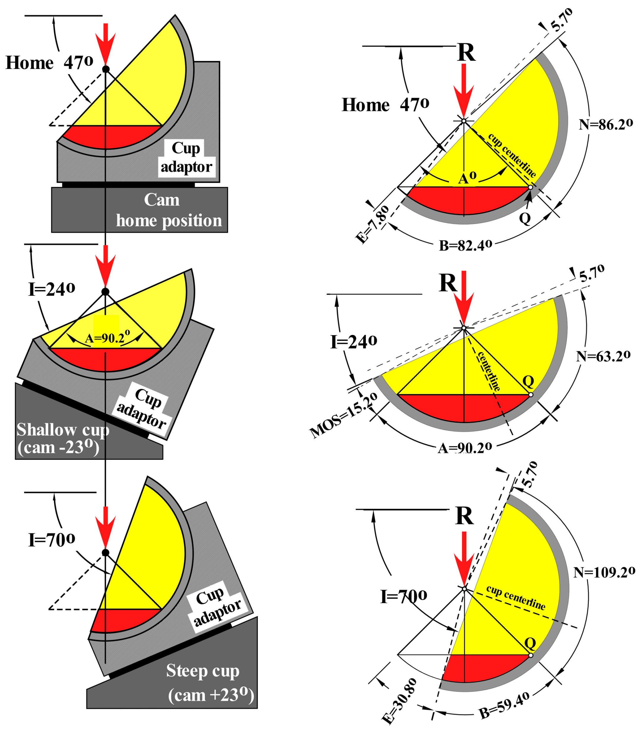 shop Parallel Processing in the Visual System: The Classification of Retinal Ganglion Cells and its Impact