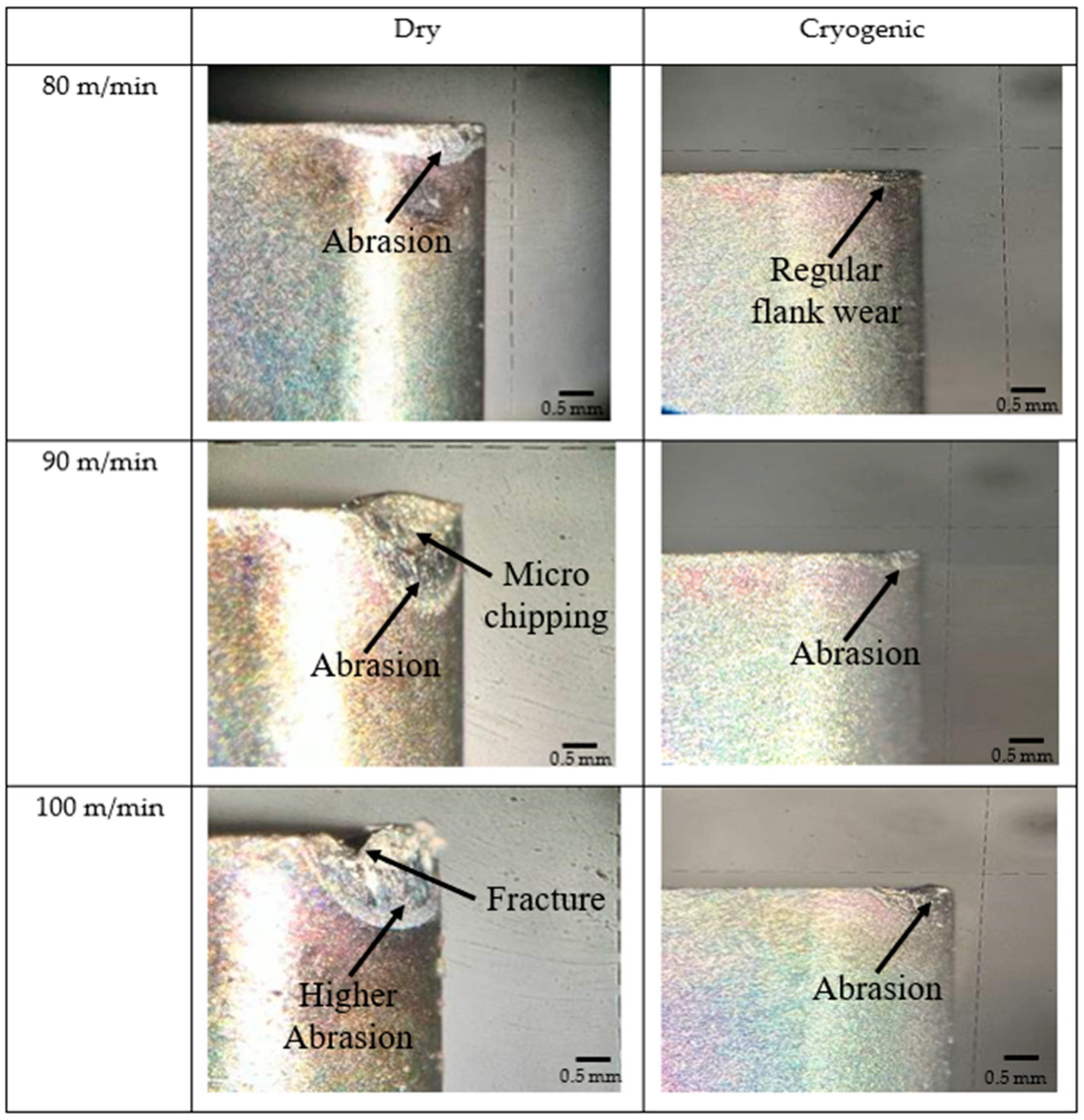 Lubricants 11 00493 g004