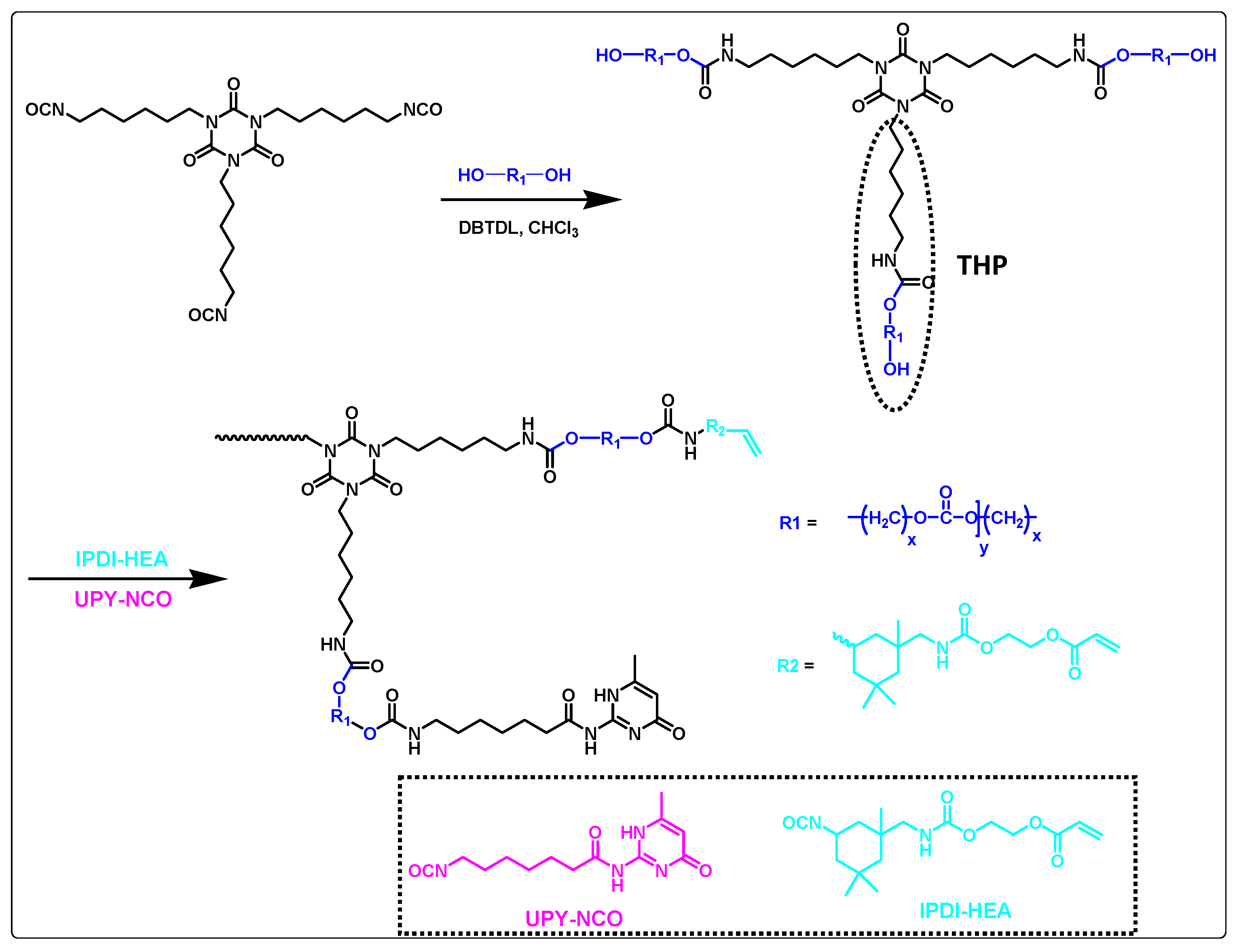 Macromol 01 00003 g007
