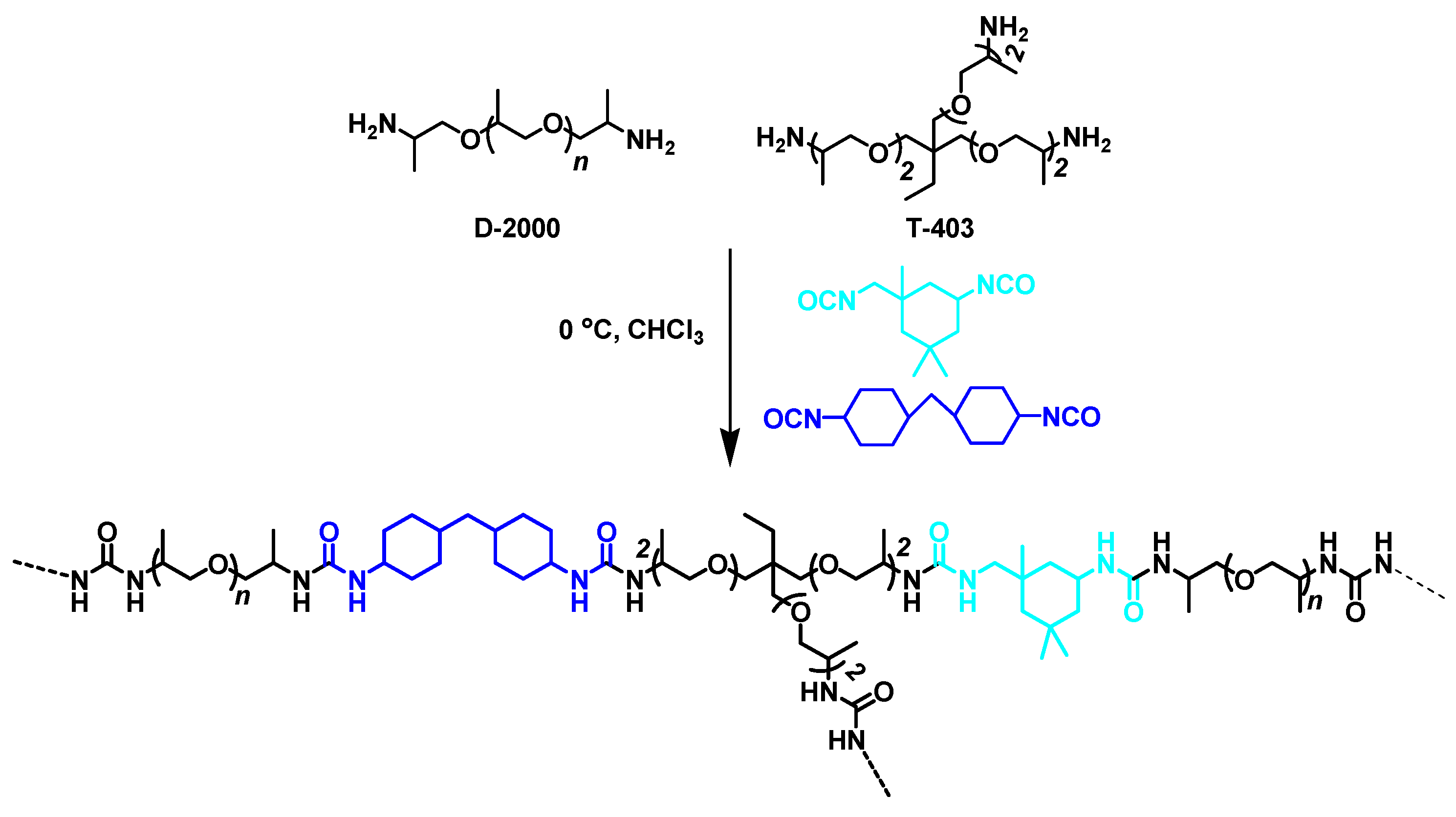Macromol 01 00003 g010