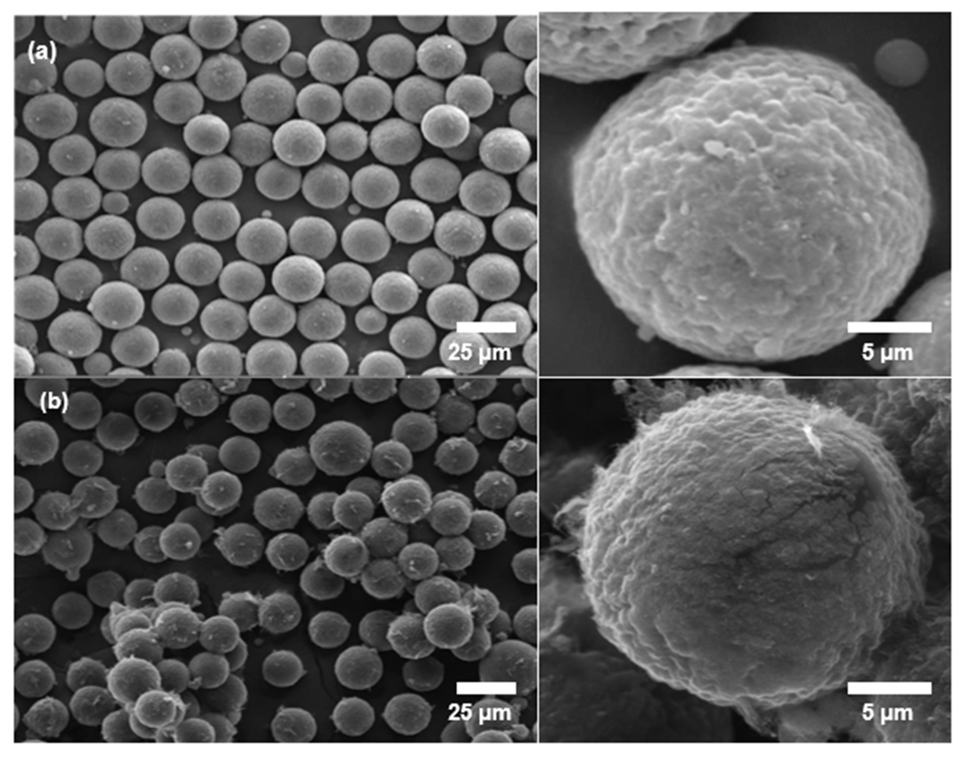 Macromol 02 00014 g002