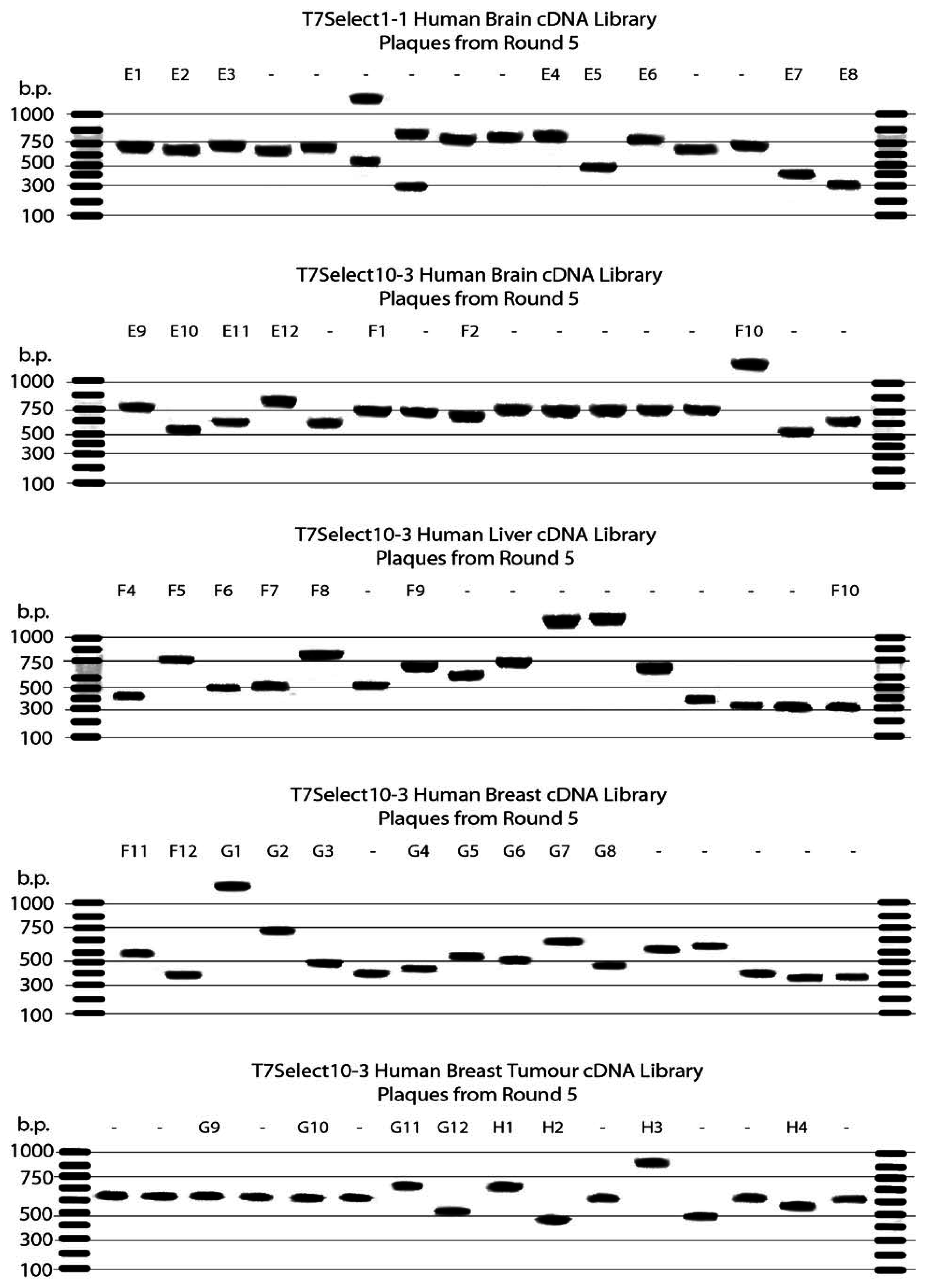 Buy essay online cheap time for strip of magnesium to dissolve in a solution of water and acid