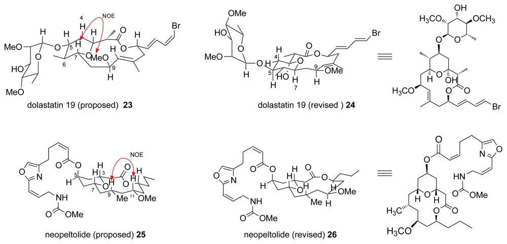 Amphidinolide Suzuki Amphidinolide Suzuki