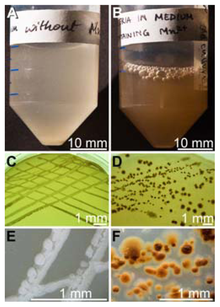 Marinedrugs 09 00001f1