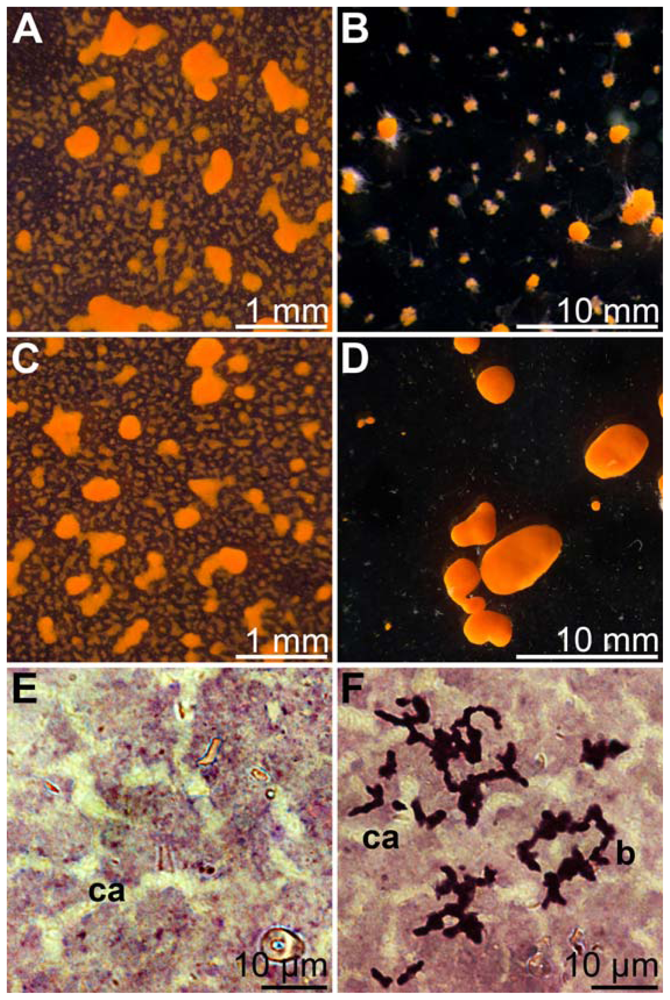 Marinedrugs 09 00001f11